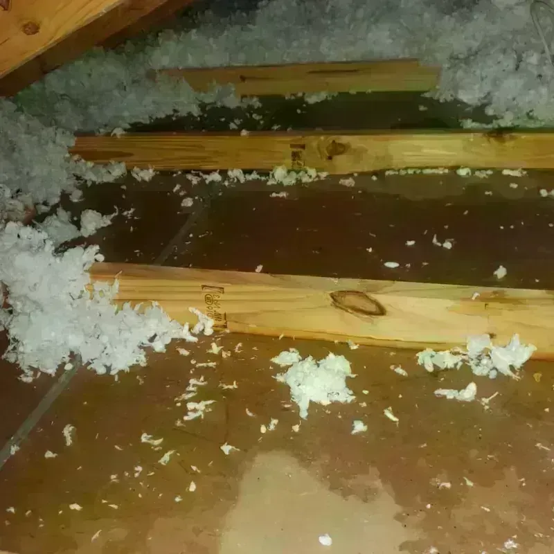 Attic Water Damage in Westport, IN